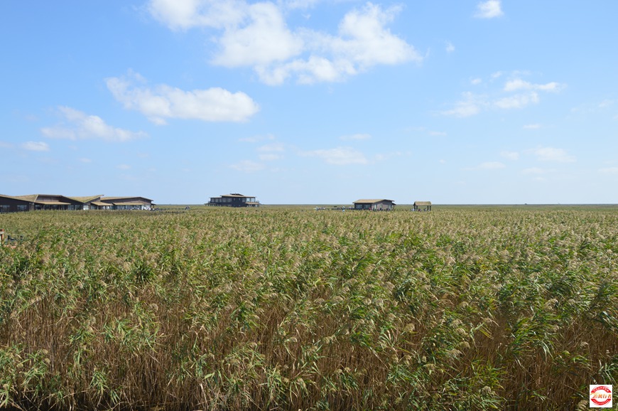 DSC_0158.JPG