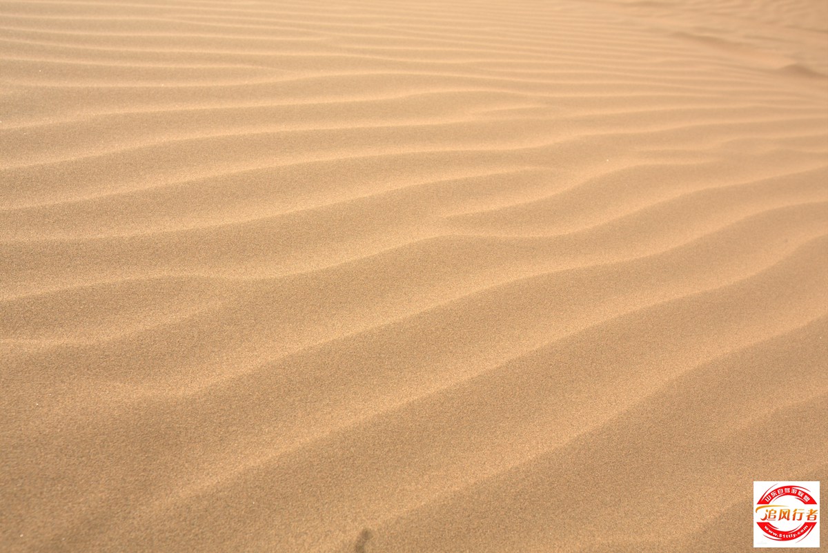 1U1A6536.jpg