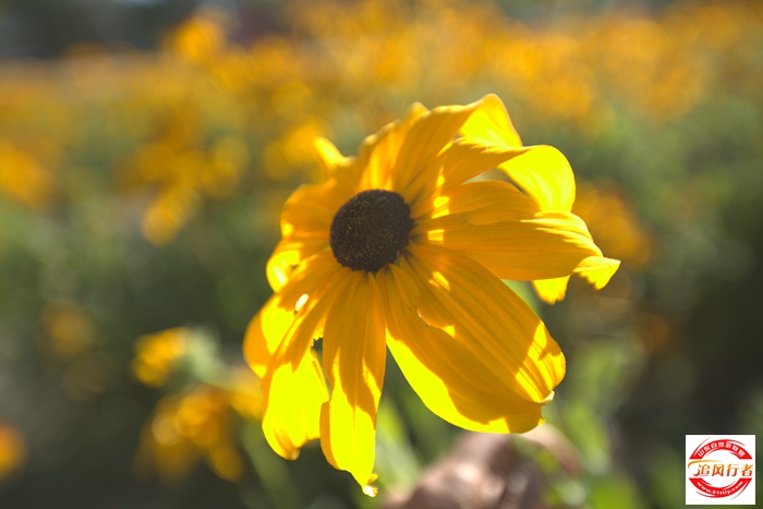 1U1A8444.jpg
