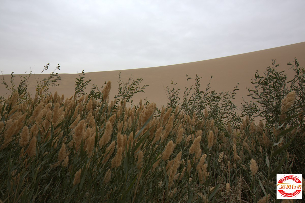1U1A9034.jpg