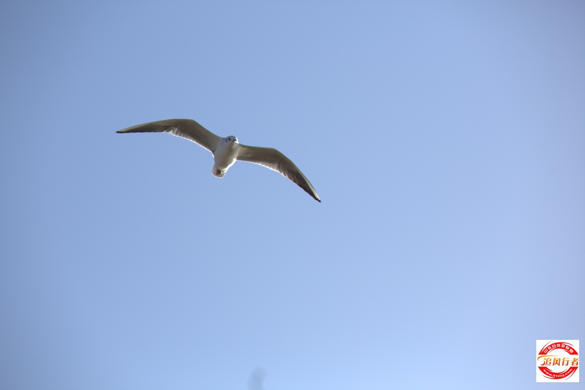 1U1A0514.jpg