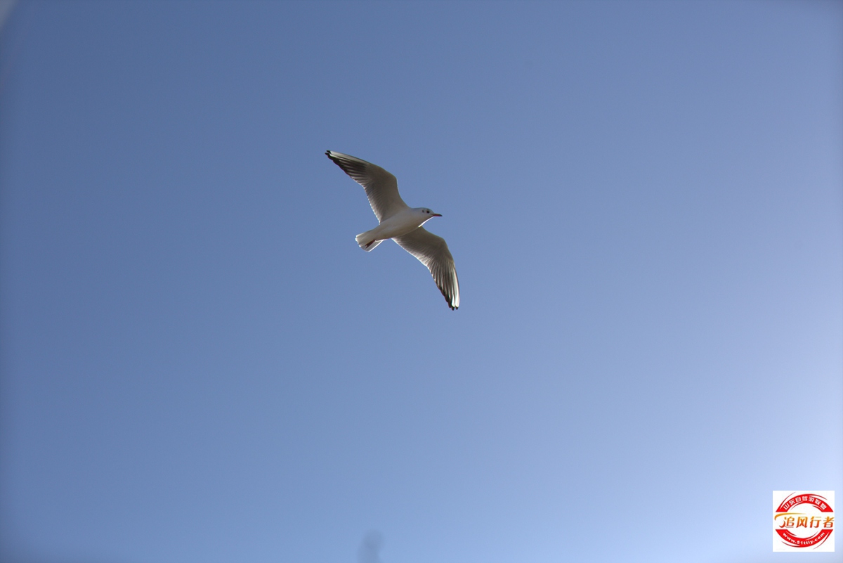 1U1A0600.jpg