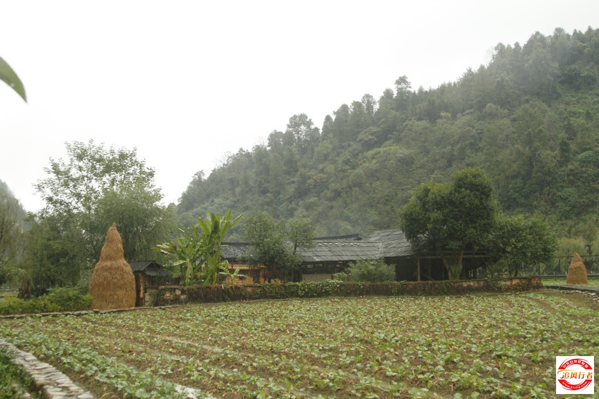 _MG_9025.jpg