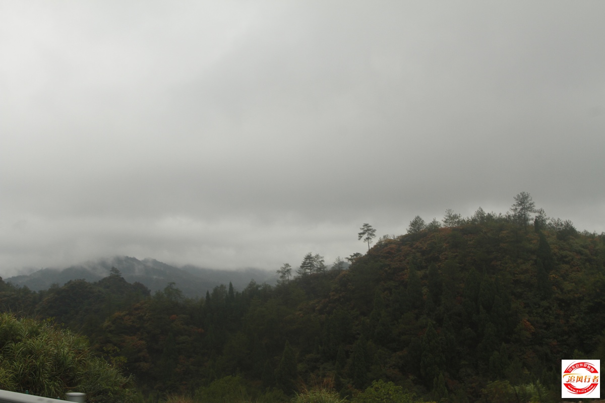 _MG_9077.jpg