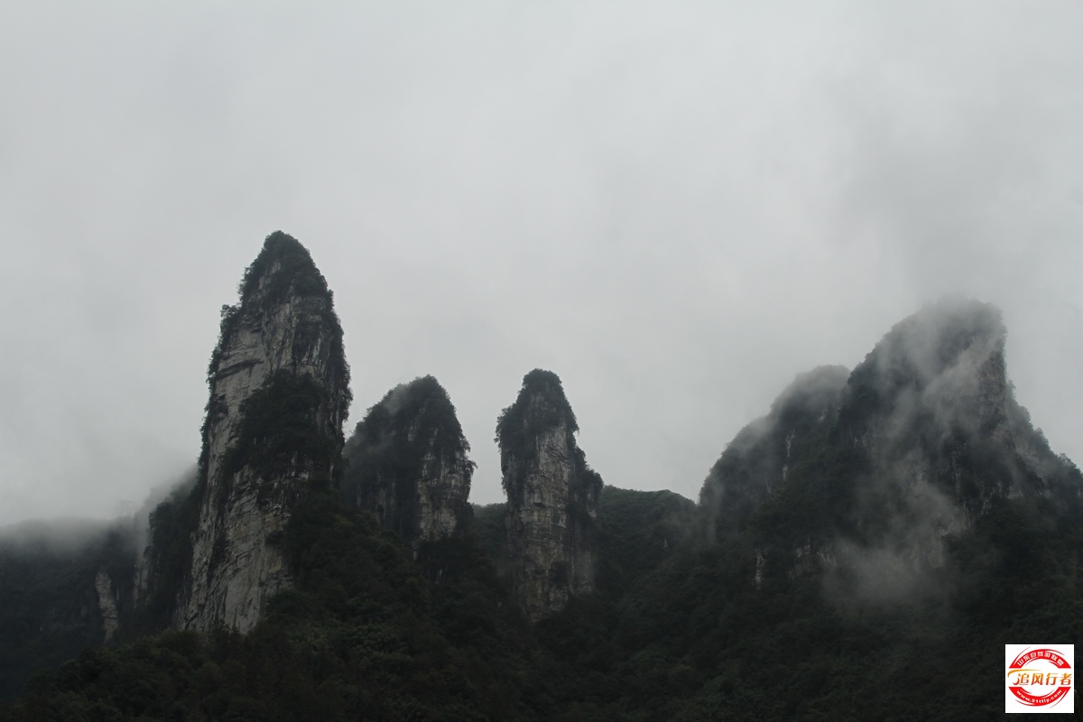 _MG_9775.jpg