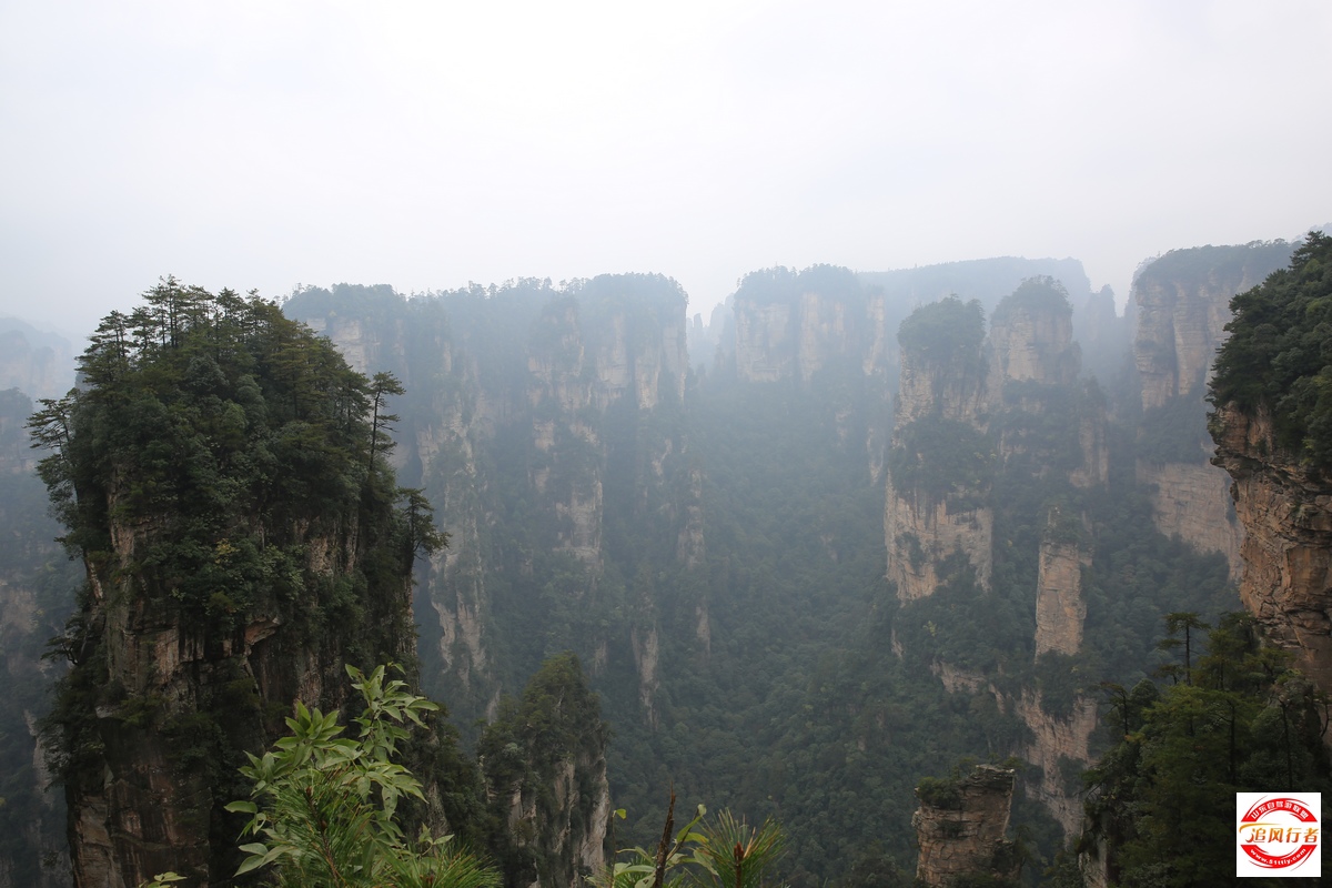 409A7051.jpg