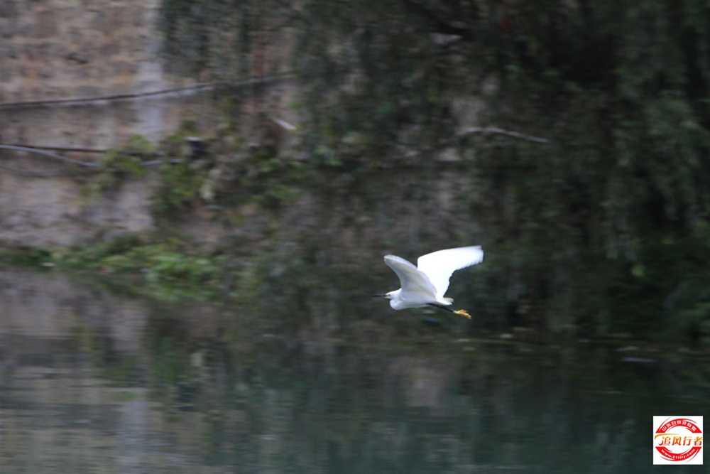 _MG_0336.jpg
