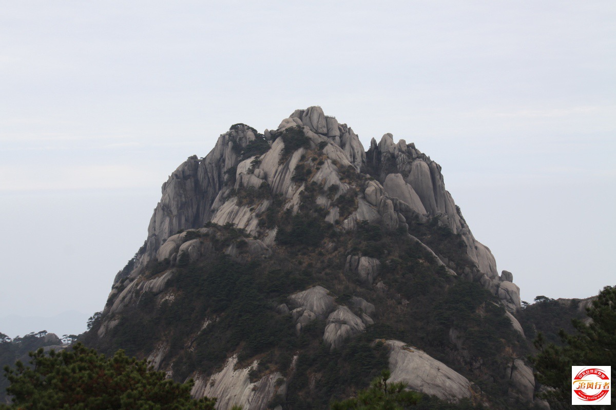 IMG_7341.jpg