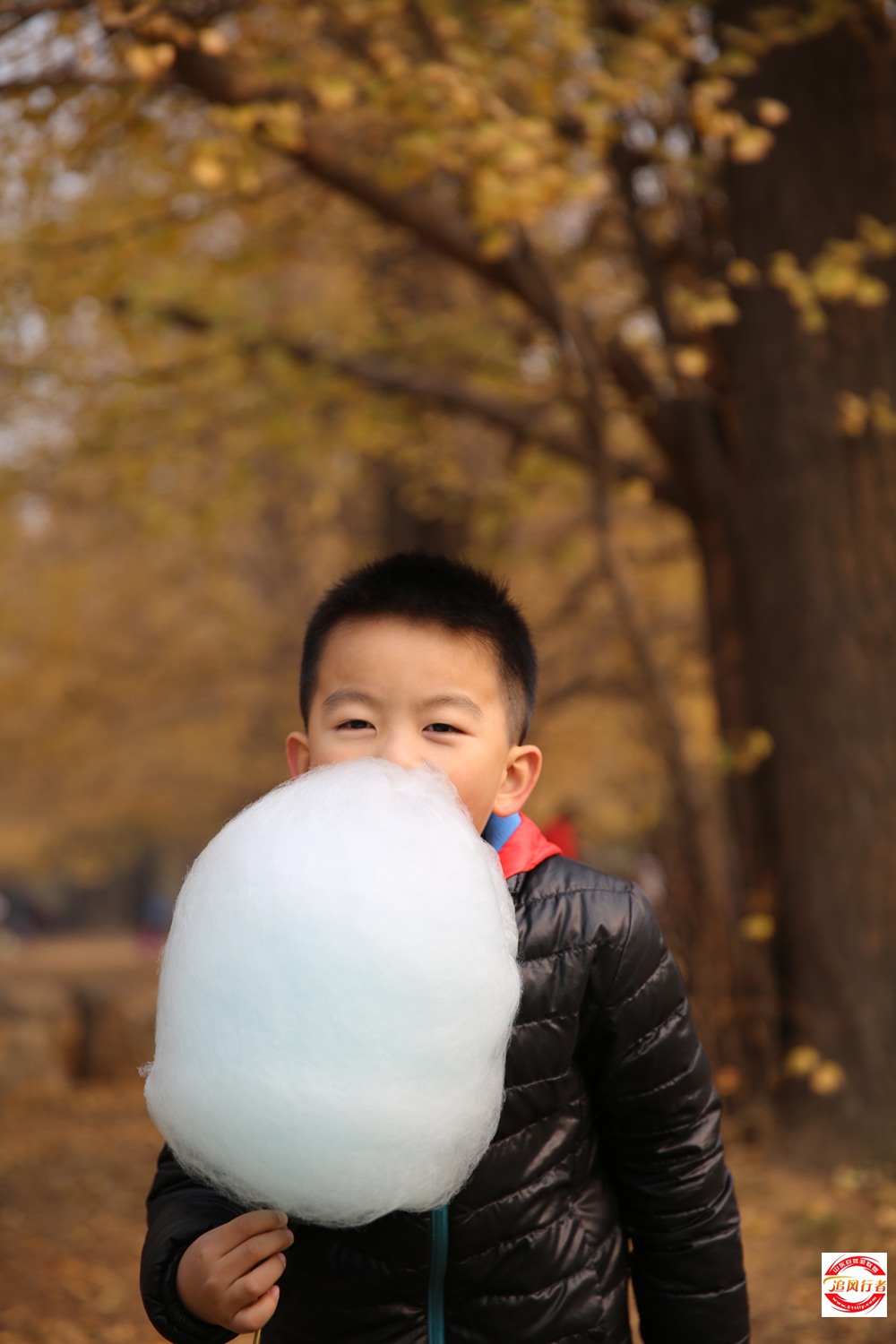 8O6A0909.JPG