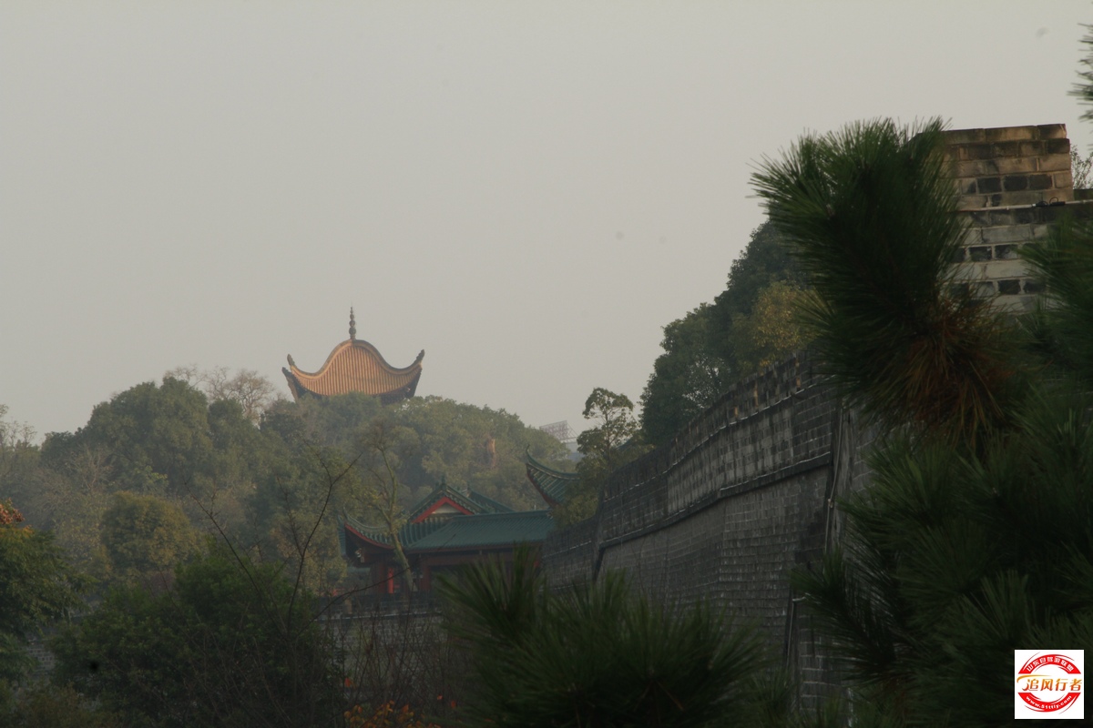 _MG_2965.jpg