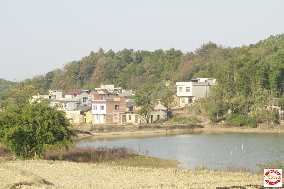 _MG_2992.jpg