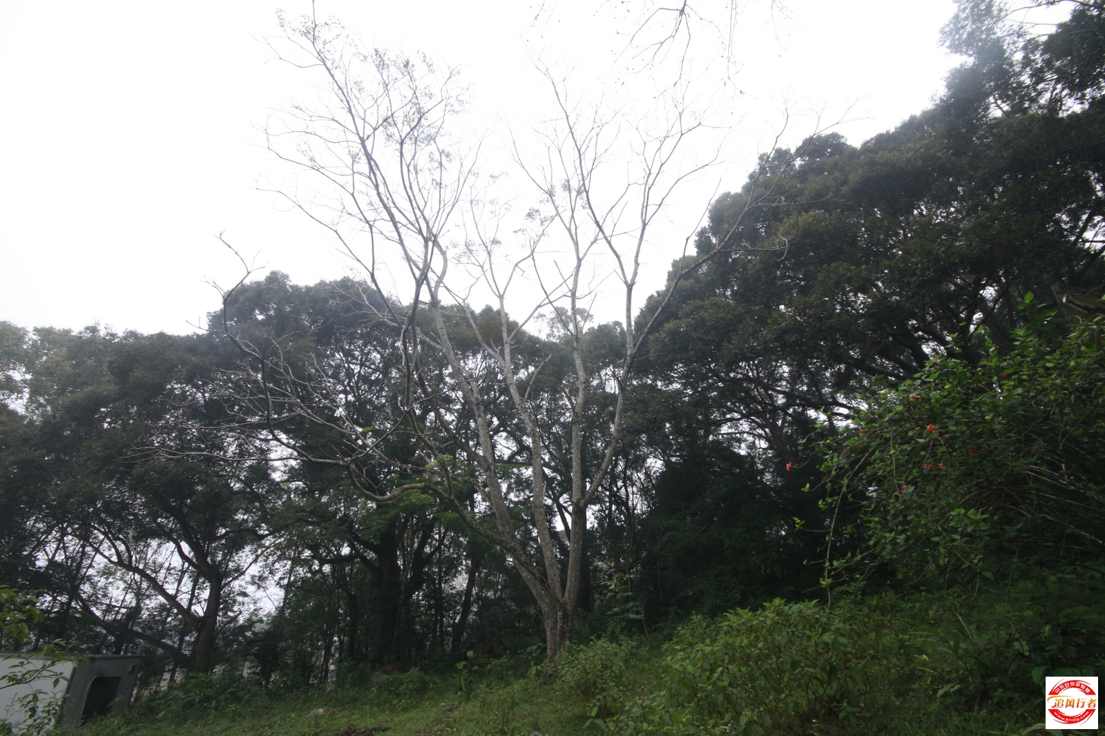 _MG_3926.jpg