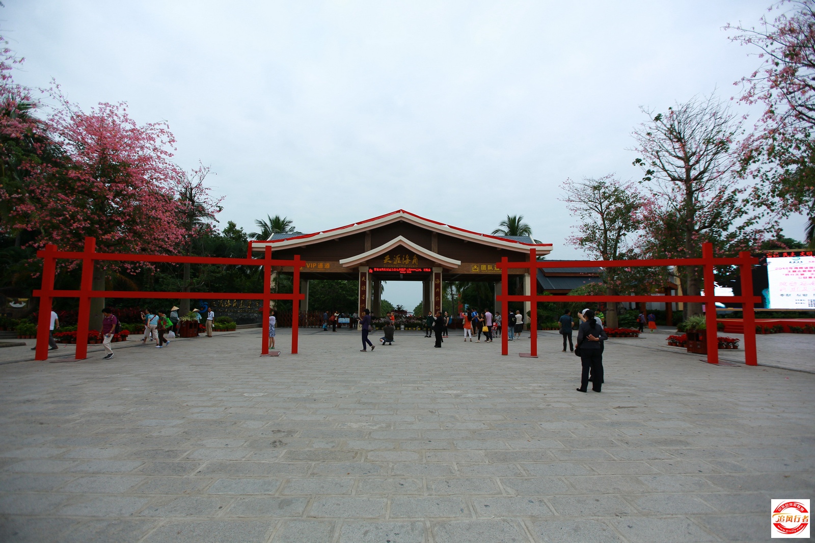 1U1A8049.jpg