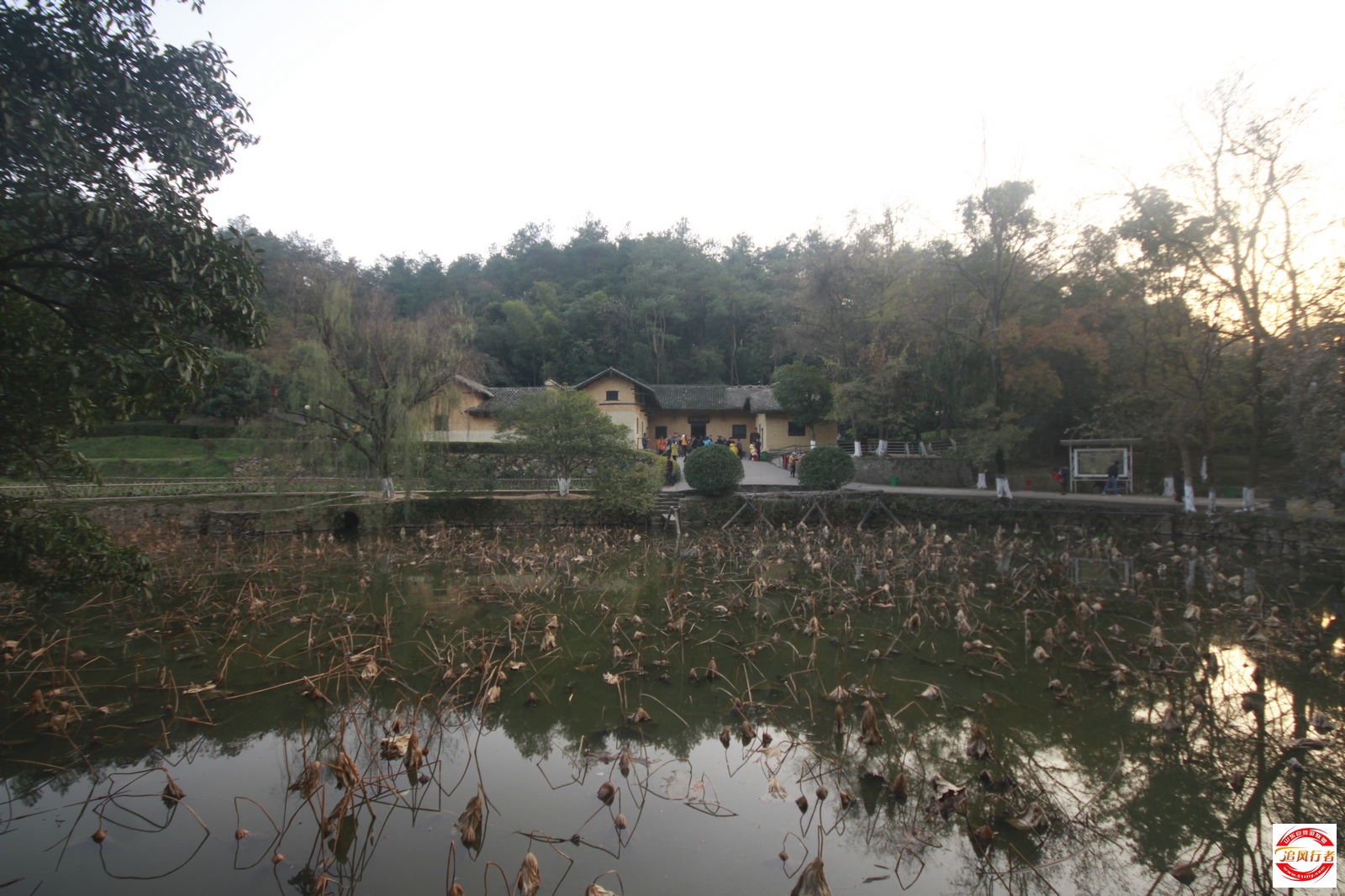 _MG_6556.jpg