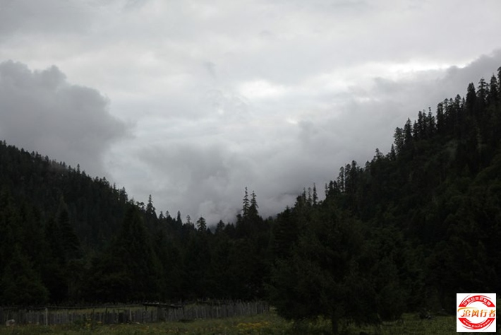 500_57274040-2135-ndfd-b786-n203a74keg3n.jpg
