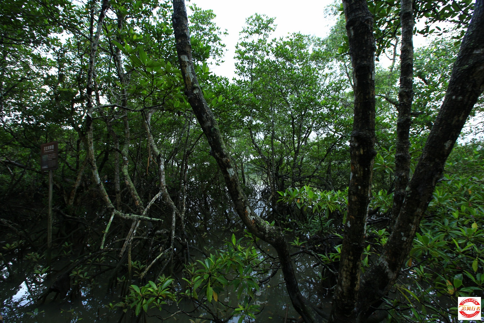 1U1A5682.jpg