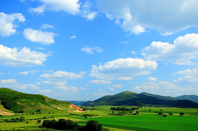 DSC_2787_.jpg