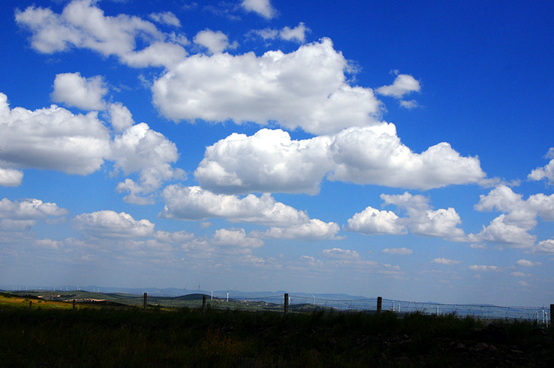 DSC_1485_.jpg