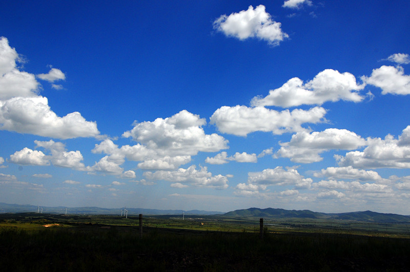 DSC_1486_.jpg