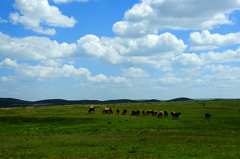 DSC_1552_.jpg