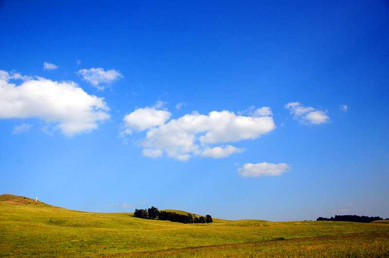 DSC_1772_.jpg
