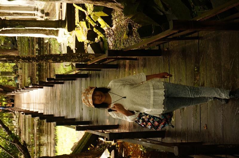 16ͼƬҵ2014֮DSC00859_.jpg