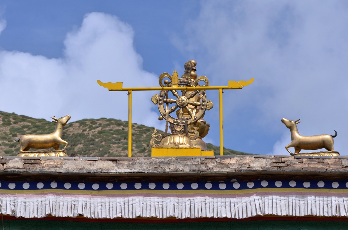 DSC_3278-1.jpg