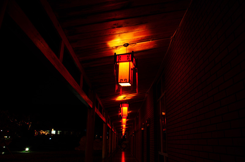 DSC_3119_.jpg