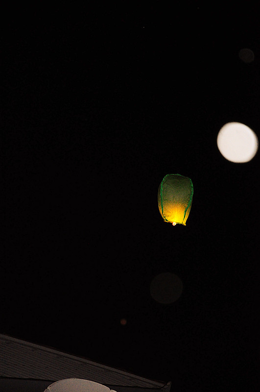 DSC_3298_.jpg