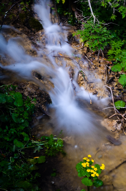 DSC_4264-1.jpg