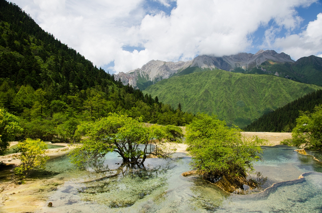 DSC_4434-1.jpg