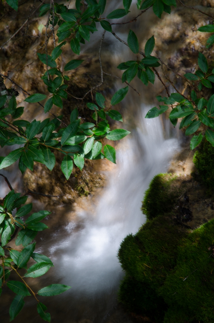 DSC_4451-1.jpg
