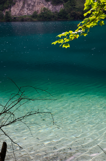 DSC_4715-1.jpg