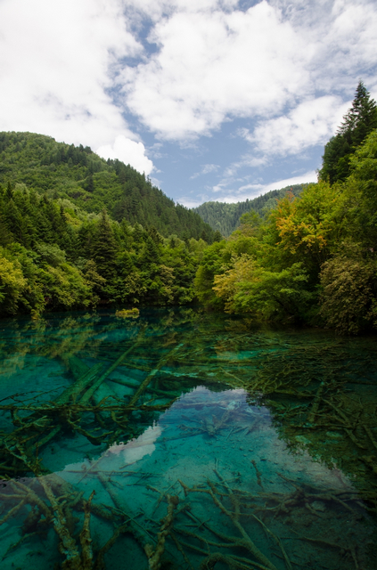 DSC_4793-1.jpg