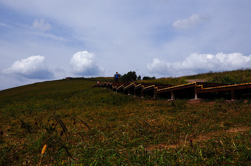 DSC_3478_.jpg