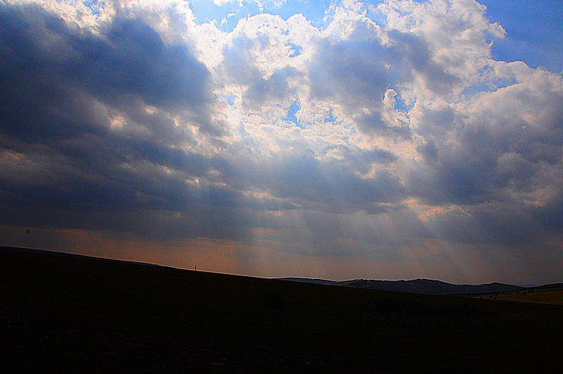 DSC_3736_.jpg