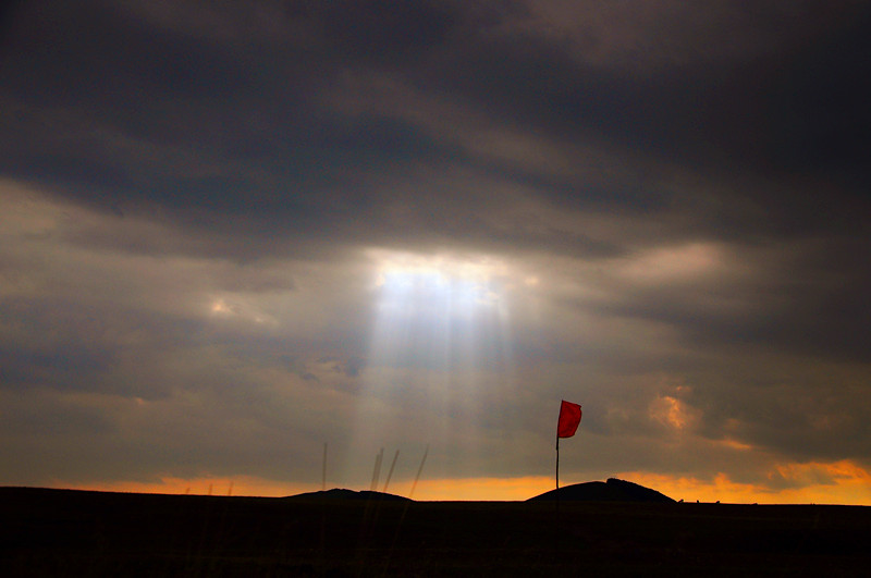 DSC_3782_.jpg
