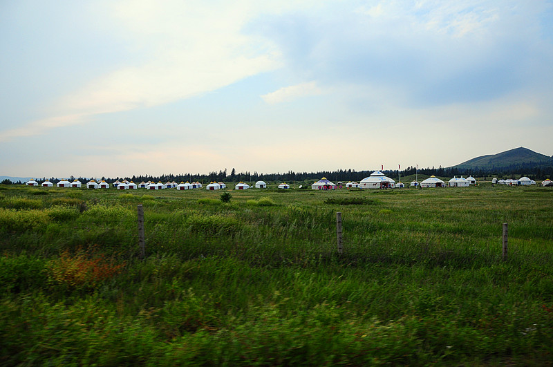 DSC_3865_.jpg