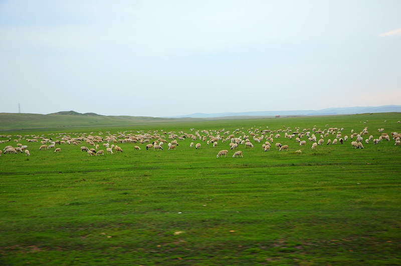 DSC_3870_.jpg