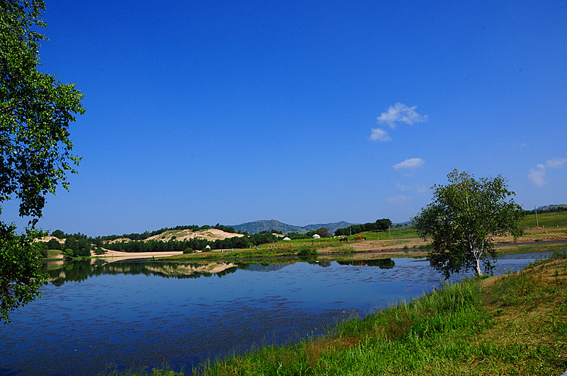 DSC_2293_.jpg