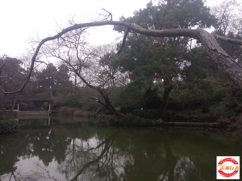 IMG20150221145125.jpg