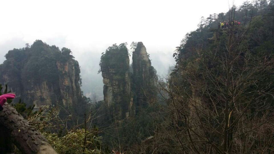 QQͼƬ20150303155739.jpg