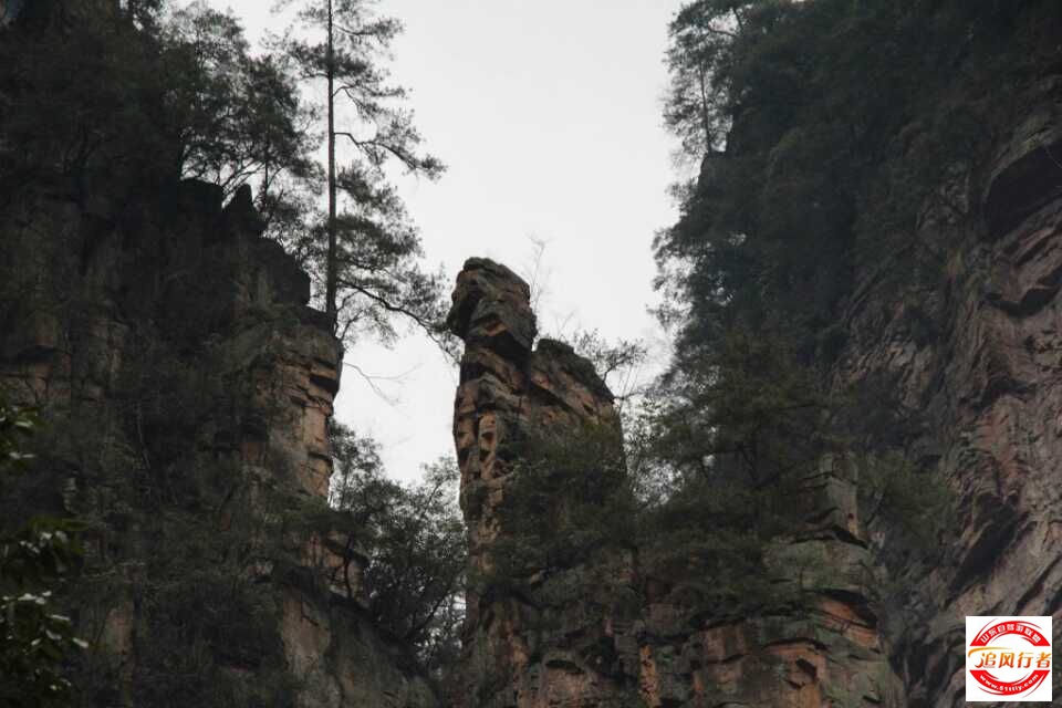 QQͼƬ20150303162714.jpg