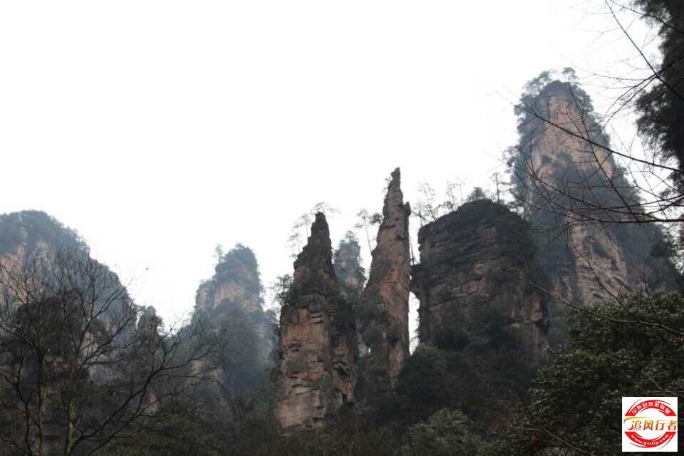 QQͼƬ20150303162729.jpg