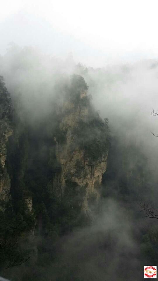QQͼƬ20150303163359.jpg
