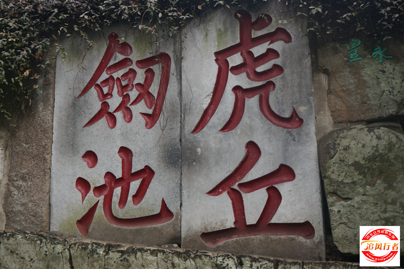 DSC02579.jpg