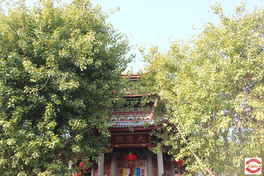 IMG_2925.jpg