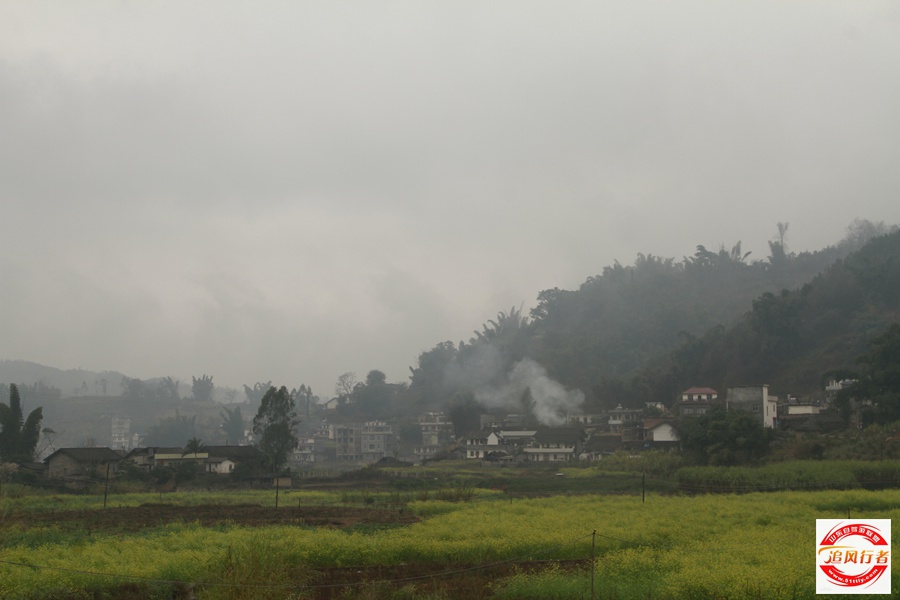 _MG_9008.jpg