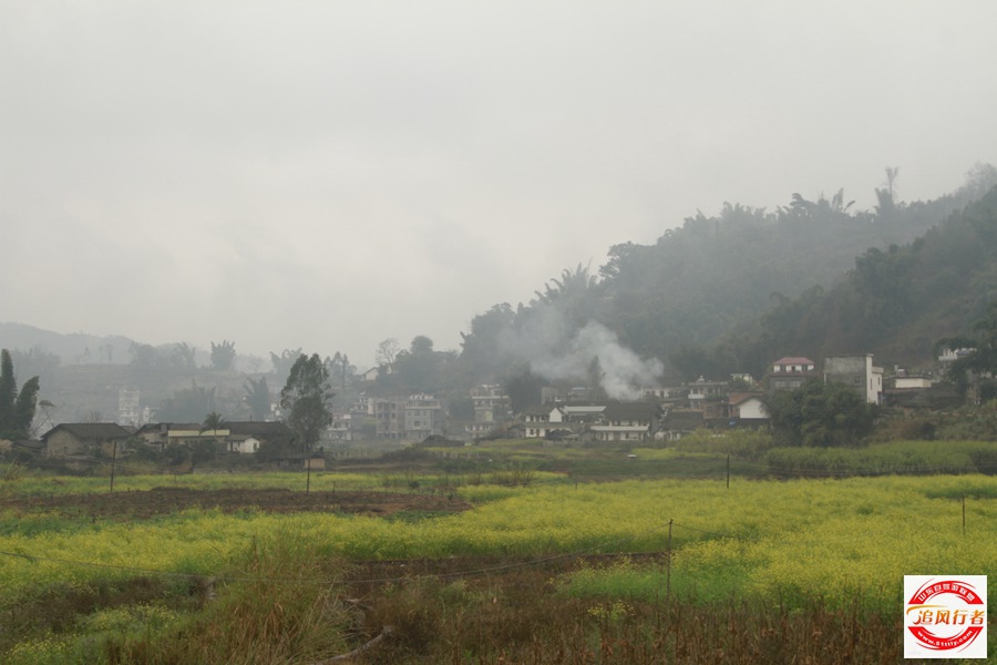 _MG_9009.jpg