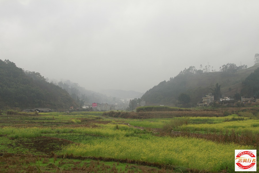 _MG_9011.jpg